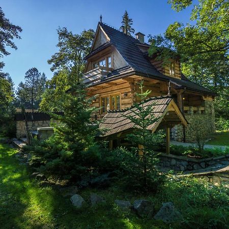 Вілла Dom Crocus Закопане Екстер'єр фото