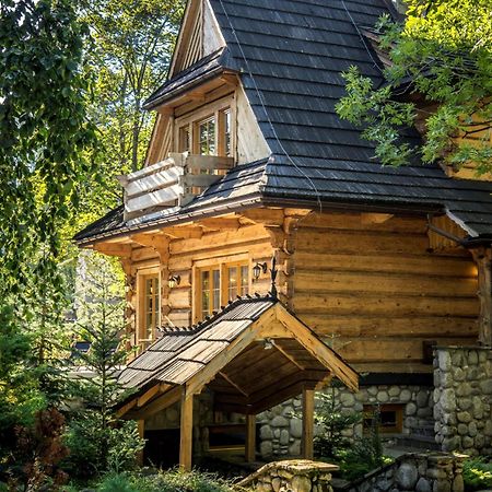 Вілла Dom Crocus Закопане Екстер'єр фото